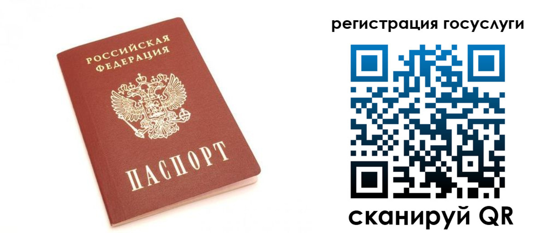 прописка для школы в Шебекино
